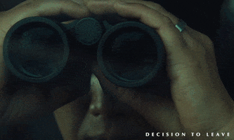 Spying Park Chan-Wook GIF by Madman Films