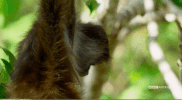GIF by Vulture.com