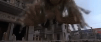 kung fu GIF