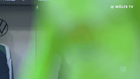 Football Sport GIF by VfL Wolfsburg