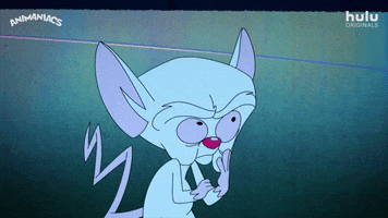 Pinky And The Brain GIF by HULU