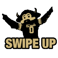 Cu Boulder Go Buffs Sticker by CU Boulder Alumni Association