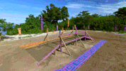 survivor: ghost island survivor GIF by CBS
