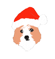Merry Christmas Sticker by Daisy Lemon
