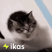 Leave Me Alone No GIF by Salih Kizilkaya