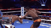 toprank fight boxing fighting espn GIF