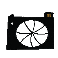 Elizabethalvite newpost camera elizabethalvite Sticker