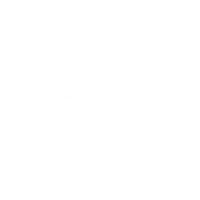 applepier white flower flowers apple Sticker