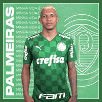 Soccer Futebol GIF by SE Palmeiras