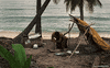 cast away GIF by 20th Century Fox Home Entertainment
