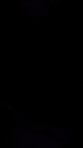 Art Loop GIF