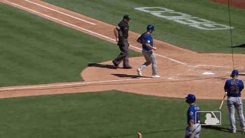 Ny Mets Home GIF by New York Mets