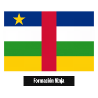 Central African Republic Flag Sticker by Formación Ninja