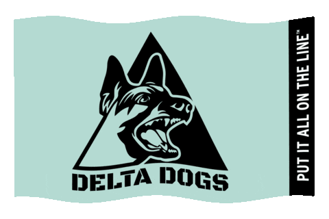 Flag Delta Sticker by Southeast Lineman Training Center