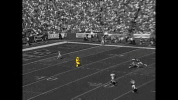 GIF by SB Nation