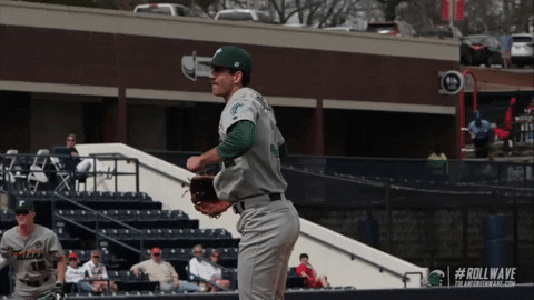 baseball wave GIF by GreenWave