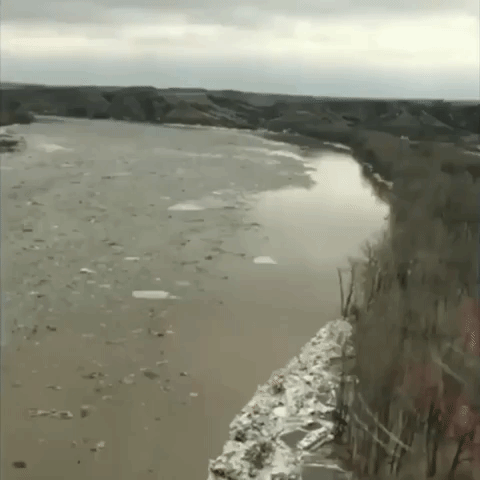 Solitary Moose Seen Floating on Chunk of Ice on North Dakota River