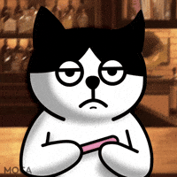 Crypto Cryptocurrency GIF by Moca Network