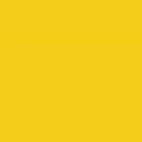 Crypto Blockchain GIF by Raiinmaker