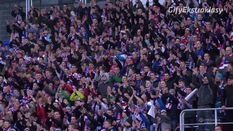 GIF by Ekstraklasa