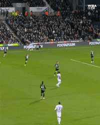 West Brom Football GIF by West Bromwich Albion