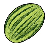 studiojacalac summer watermelon cut slice Sticker