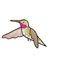 studiojacalac bird fly flying fast Sticker