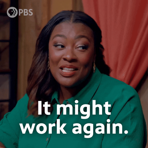Could Work Season 3 GIF by PBS