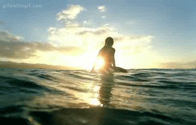 surf GIF
