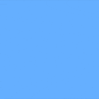 Cats Weekend GIF by Jessica Lau