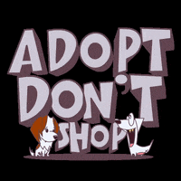 Shop Adopt GIF by pothounds