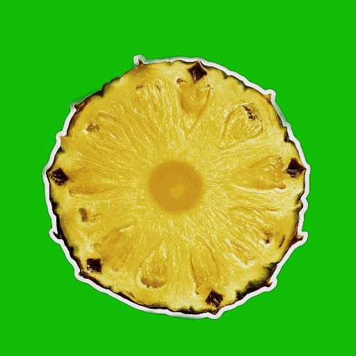 Summer Comida GIF