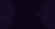 Dogecoin GIF by Retro Doge