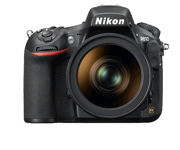 Nikon Nikoninstabadge Sticker by NikonIndia