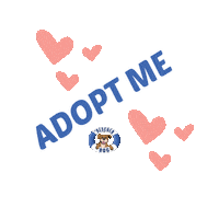 Trd Adopt Sticker by The Rescued Dog