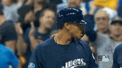 milwaukee brewers GIF by MLB