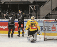 DornbirnBulldogs decbulldogs GIF