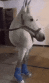 Ahlelele Ahlelas GIF