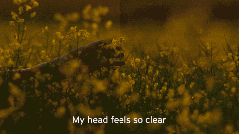 channel zero butchers block GIF by SYFY