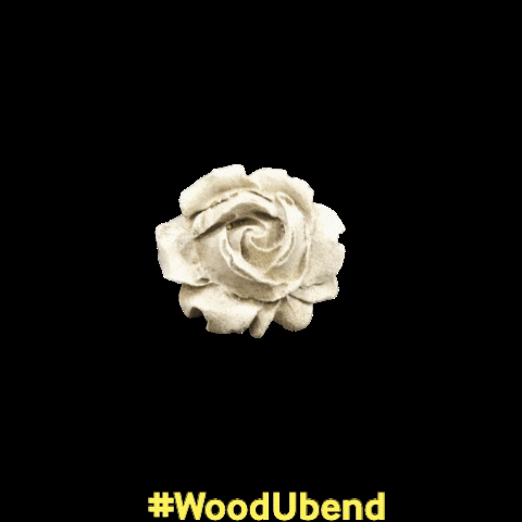 woodubend flower flowers diy painting GIF