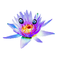 Miss You Love Sticker by BIMBA Y LOLA