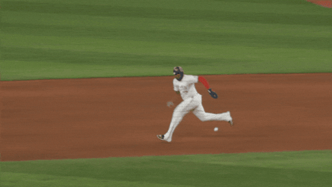 Blue Jays Baseball GIF by Toronto Blue Jays