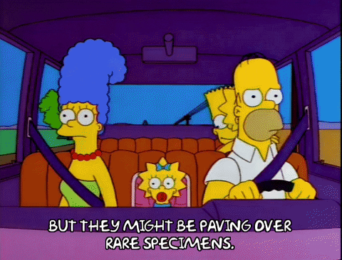homer simpson GIF