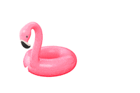 Pink Flamingo Pinkmood Sticker by Malibu Rum