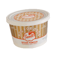 Pumpkin Gelato Sticker by swellgelato