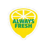 Lemon Sticker by Sporter
