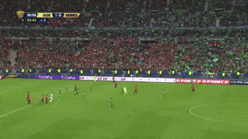 Coup de sifflet final - Coupe de la Ligue 2013