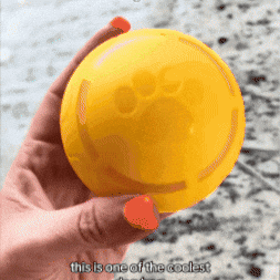 sandracaceres976a6dbc8b454fb186b8b704fd6590e2 giphygifmaker GIF