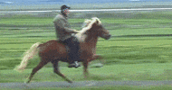 selariavertentes  GIF