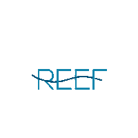 Great Barrier Reef Magic Sticker by Experience Co